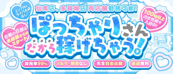 宮城仙南ちゃんこのぽっちゃり求人画像