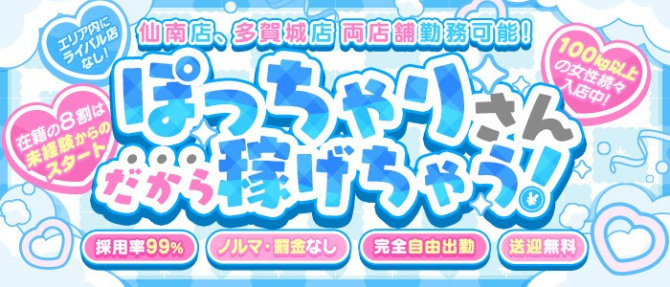宮城仙南ちゃんこのぽっちゃり求人画像