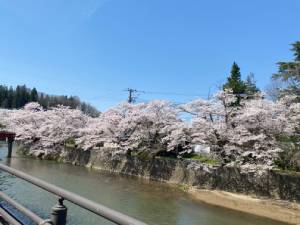 あっちぇるのちょっといい話のアイキャッチ画像