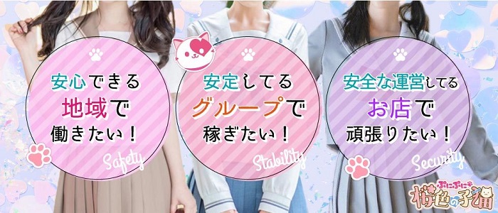 ぷにぷに桜色の子猫の求人画像