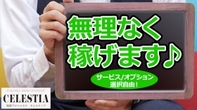 セレスティアのスタッフによるお仕事紹介動画