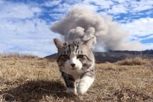 🌷副業・学生さんもOK🌼 スキマ時間でしっかり稼げる！のアイキャッチ画像