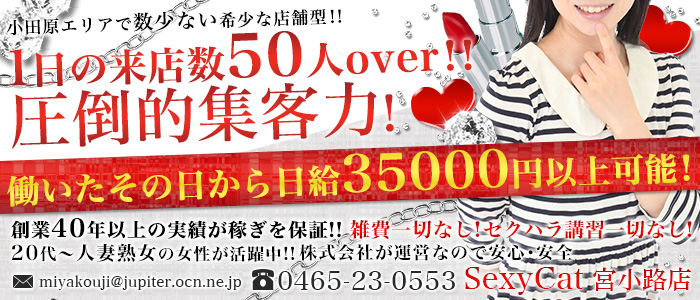 セクシーキャット 宮小路店