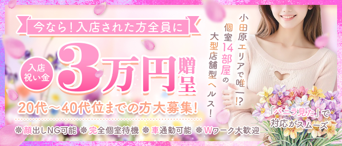 セクシーキャット 宮小路店の求人画像