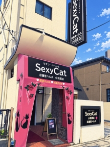 夏の出費のアイキャッチ画像