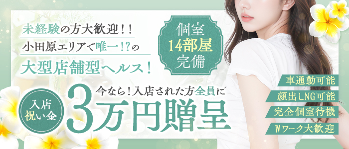 セクシーキャット 小田原店