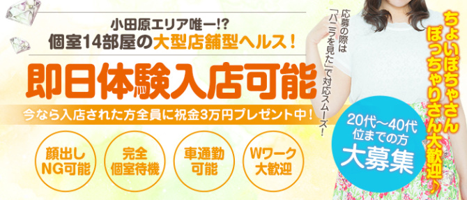 セクシーキャット 小田原店のぽっちゃり求人画像