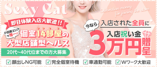 セクシーキャット 小田原店
