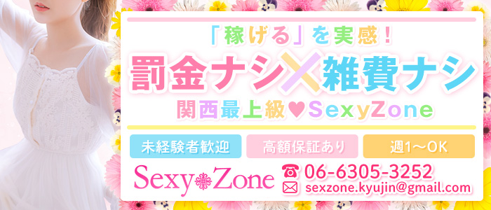Sexy Zoneの求人画像