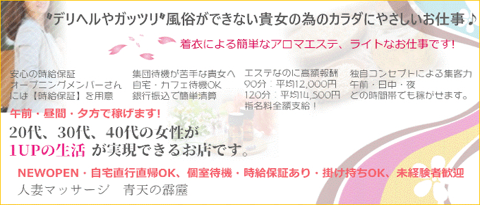 男性機能増幅回春 青天の霹靂名古屋店