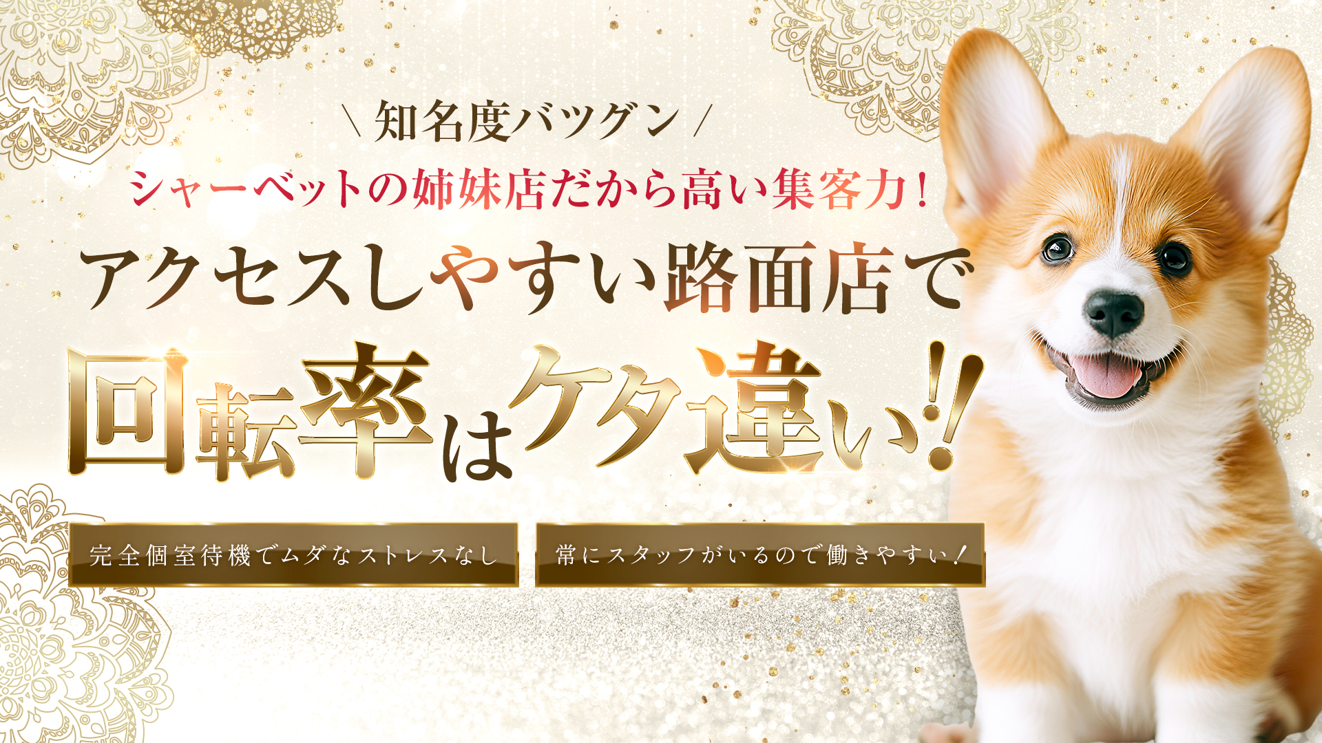 シャーベット別館の求人画像
