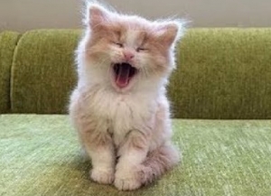 美容代の負担を行っています！！のアイキャッチ画像
