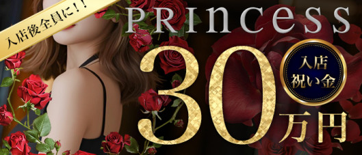 新橋プリンセス