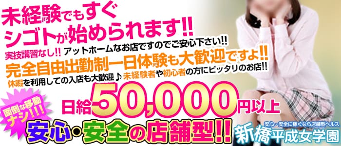 新橋平成女学園