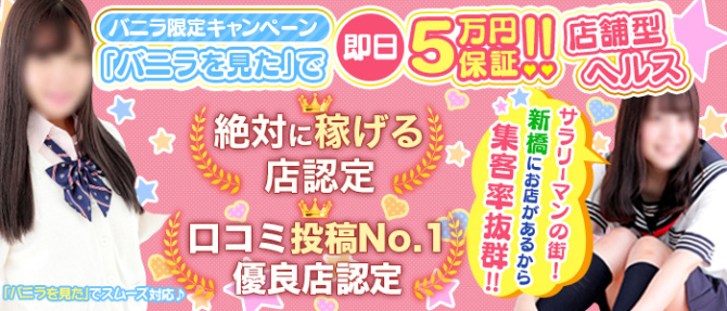 新橋平成女学園のぽっちゃり求人画像