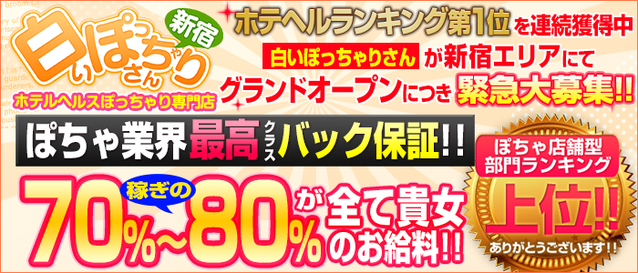 白いぽっちゃりさん 新宿店