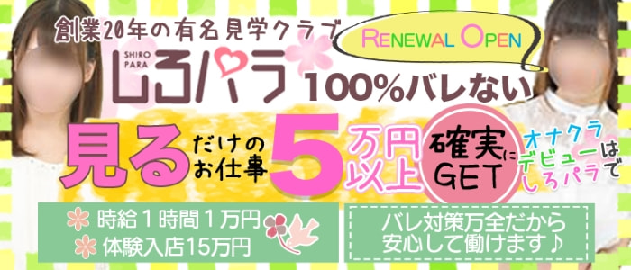 しろパラの求人画像