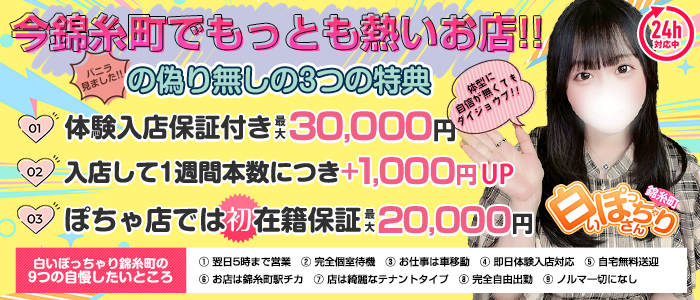 白いぽっちゃりさん 錦糸町店の求人画像