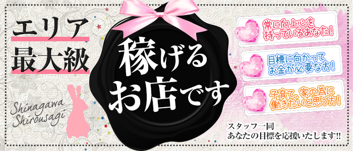 品川しろうさぎ