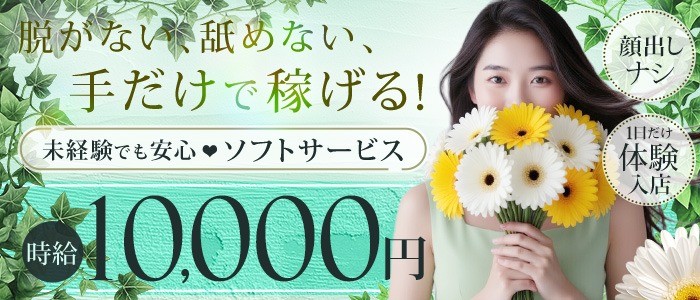 素人名館の未経験求人画像