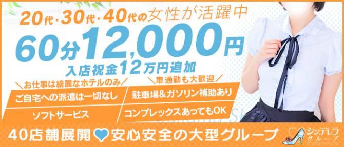 埼玉西川口ショートケーキ(シンデレラグループ)のぽっちゃり求人画像