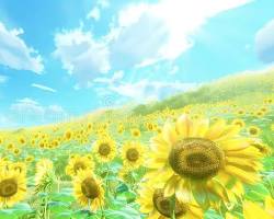 ✨夏は稼ぎ時！8月から始めよう👍👍のアイキャッチ画像