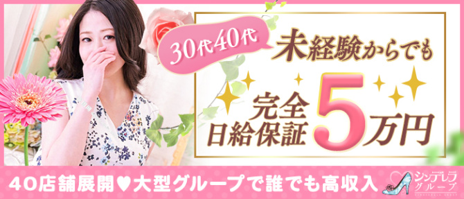 新橋・汐留人妻ヒットパレード(シンデレラG)のぽっちゃり求人画像