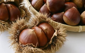 モンブランに栗ごはんも！🌰栗の美味しさに学ぶ「それぞれの魅力」のお話💭のアイキャッチ画像