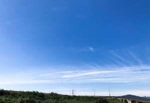 お天気がよくなってきたね☀️】気持ちいい青空✨あなたはどう過ごす？のアイキャッチ画像