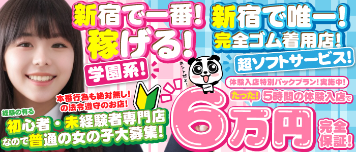 イメージヘルス「新宿女学園」の求人画像