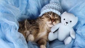 お客様が多くセラピストさまが足りておりません💦のアイキャッチ画像