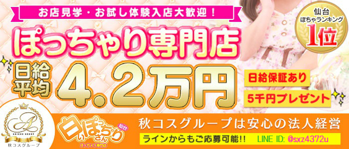 白いぽっちゃりさん 仙台店