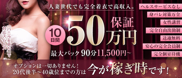 シロガネーゼの未経験求人画像