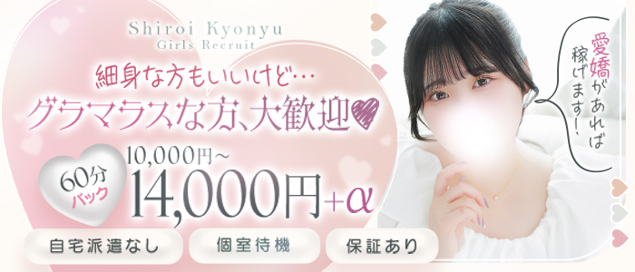 白い巨乳(秋コスグループ)の求人画像