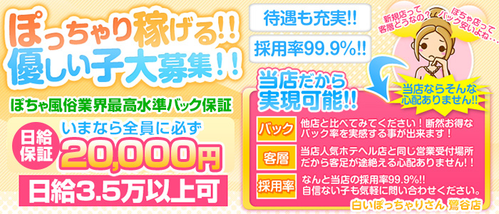 白いぽっちゃりさん 鶯谷店