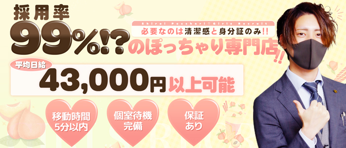 白いぽっちゃりさん(秋コスグループ)のぽっちゃり求人画像