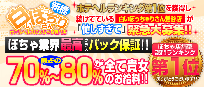 白いぽっちゃりさん 新橋店