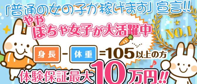 Secret Service本店のぽっちゃり求人画像