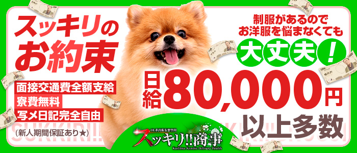 スッキリ商事の求人情報