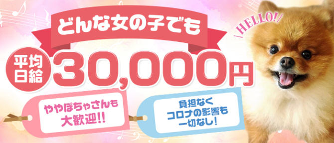 すまいるばんくのぽっちゃり求人画像
