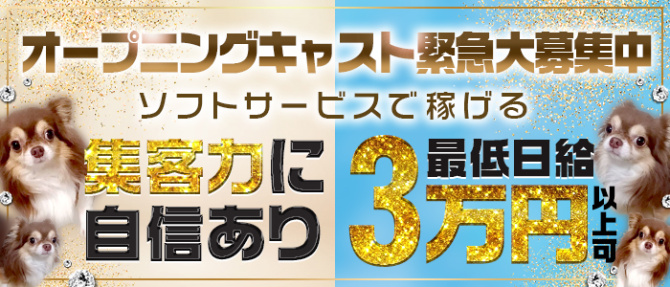プリティーのぽっちゃり求人画像