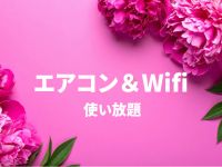 山口下関ちゃんこで働くメリット7