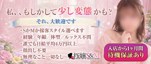 極嬢S&M 四日市店の求人情報