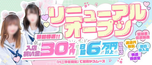 にゃんにゃんパラダイス