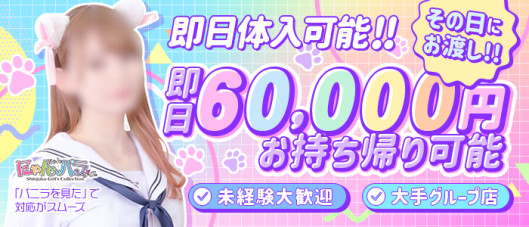 にゃんにゃんパラダイス