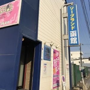 ここはオアシスかしら！？のアイキャッチ画像