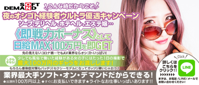 ソフト・オン・デマンド (株)のぽっちゃり求人画像