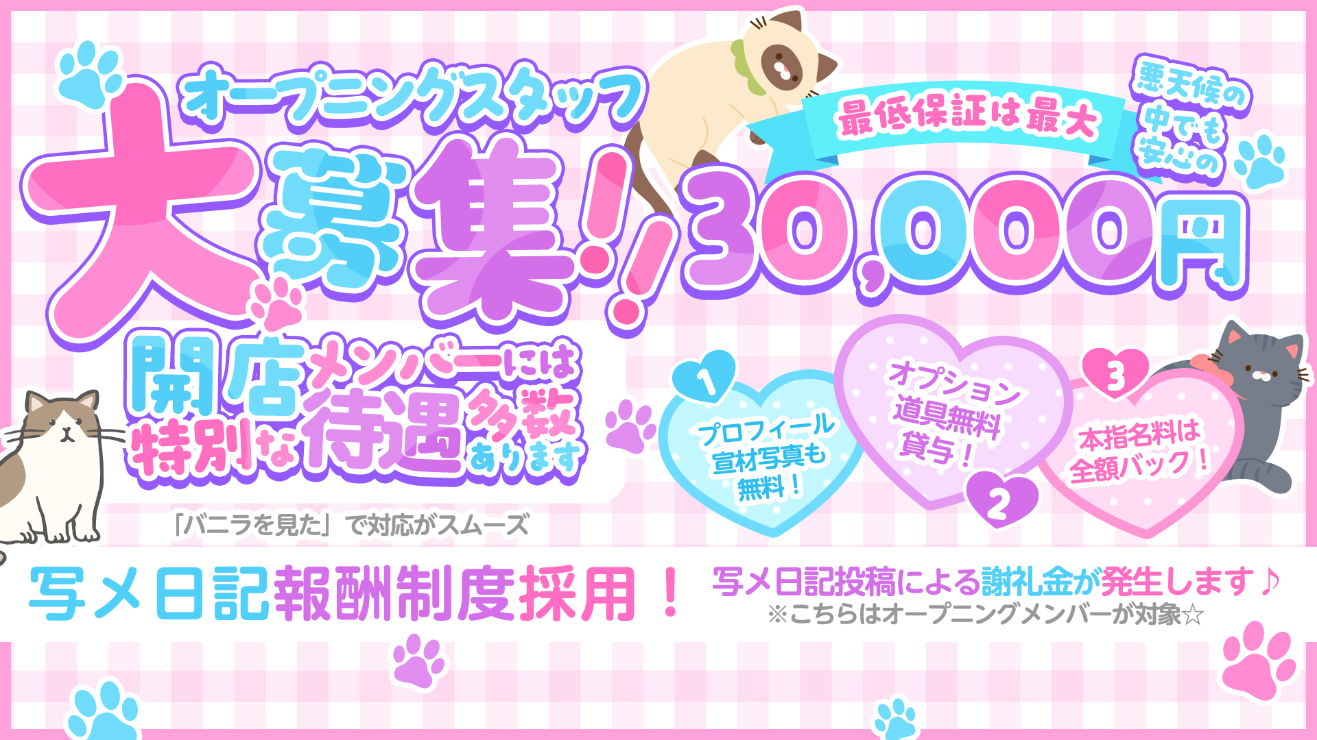 即舐め嬢の求人画像