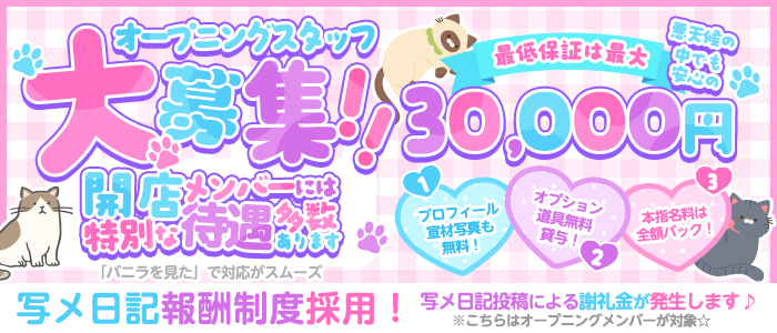 即舐め嬢の求人画像