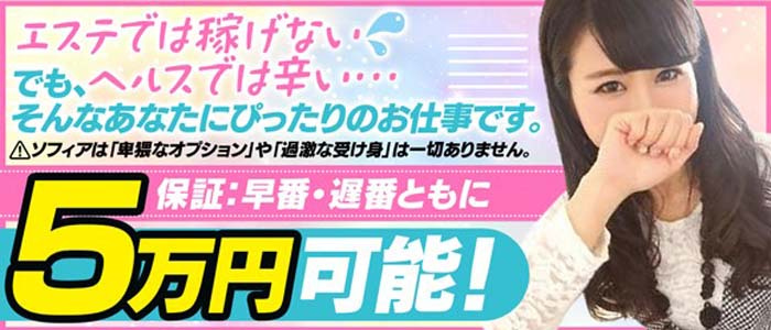 ソフィアの求人画像